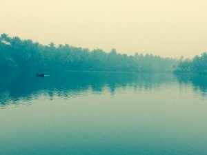 IMG_1687